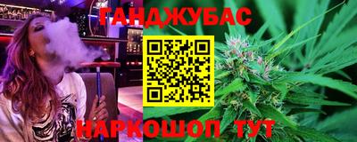 амф Гусев