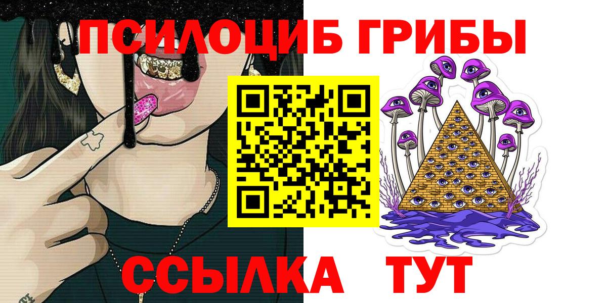 Псилоцибиновые грибы Psilocybe Можга