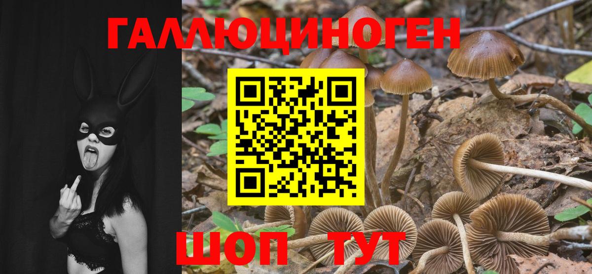 Можга  Псилоцибиновые грибы GOLDEN TEACHER  Вход с VPN 